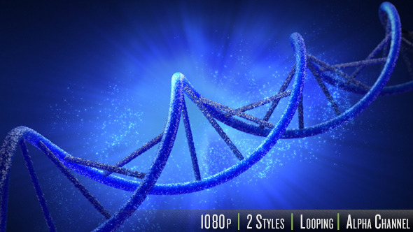 Double Helix Strand of DNA