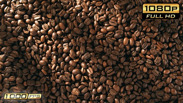 Birds Eye View of Roasted Coffee Beans