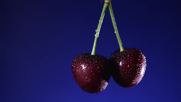 Cherries on a Blue Background