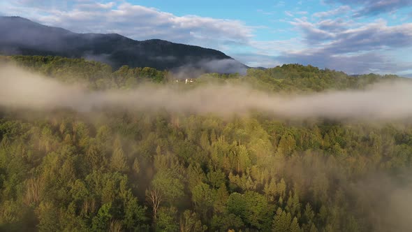 Aerial Forest Fog Landscape