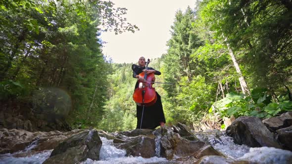 Cellist playing music on green nature background.