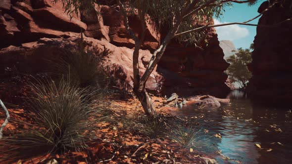 Redwall Reflection in Colorado River