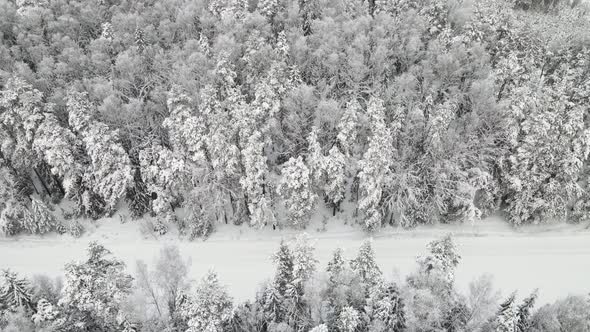 New Year's Winter Forest is Festively Covered with Snow Aerial View