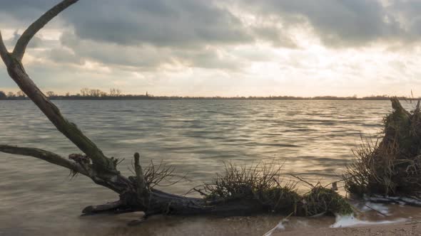 Time lapse of sea waves over old tree branch on beach, slider shot