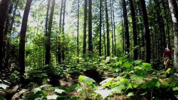 Couple jogging in the forest 4k