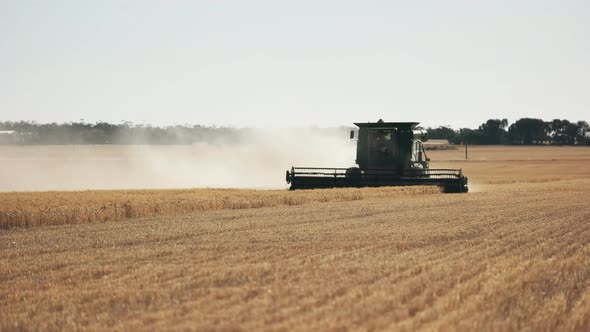 backlit combine harvester long shot