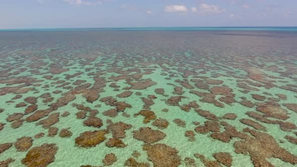 Aerial view of the transparent turquoise sea in Rio do Fogo, Brazil.