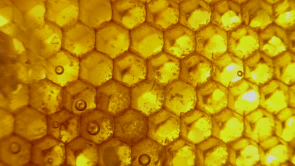 Honey in the Honeycomb