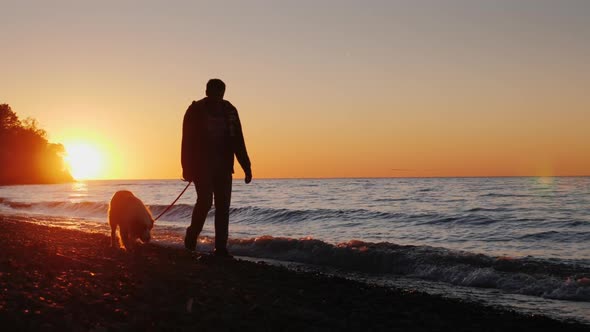 A Lonely Man Walks with a Dog Near the Lake or the Sea at Sunset
