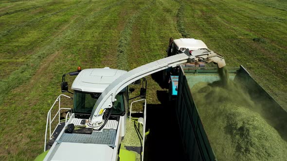 Aerial Shot of Harvester Loading Off Mown Plants on Trailers