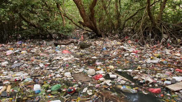 Plastic Waste Rubbish Floating in Forest River Water. Huge Dump in Tropical Mangrove Tree Jungle