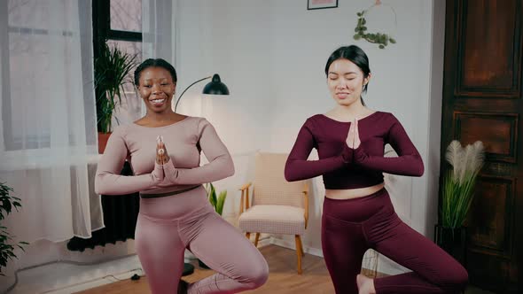 Zoom in Portrait of Two Happy Diverse Women Friends Practicing Yoga Together Standing in Tree Pose