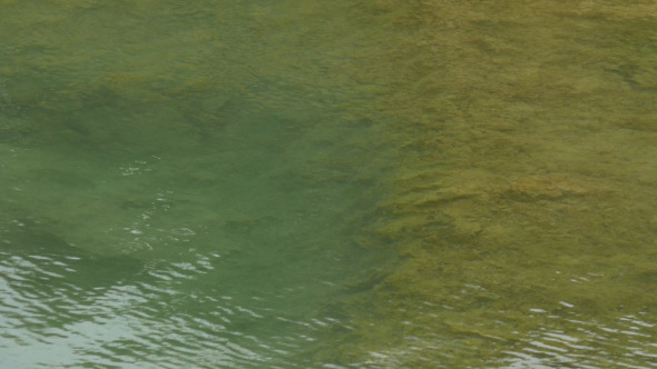 Water In Marsh