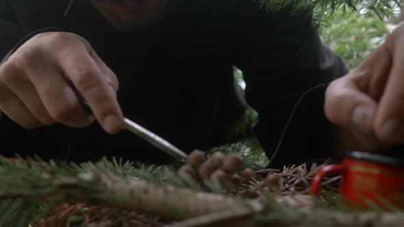 a Young Guy Collects Miniature Mushrooms in a Container