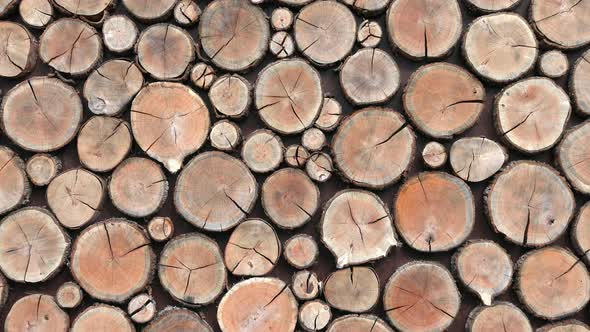 Background of Round Dry Wooden Cuts