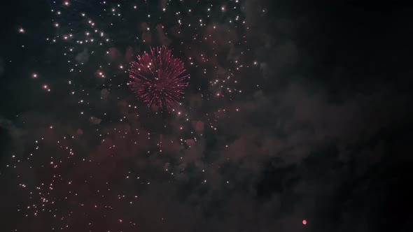 Beautiful Real Fireworks in Night Sky