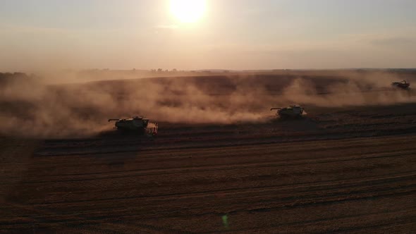 Aerial shot: flying around combines harvesting an summer sunset