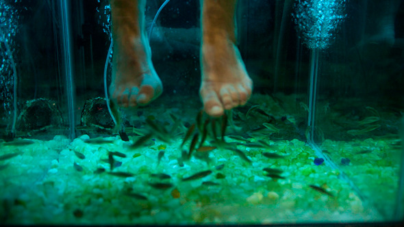 Feet Peeling With Garra Rufa Fish