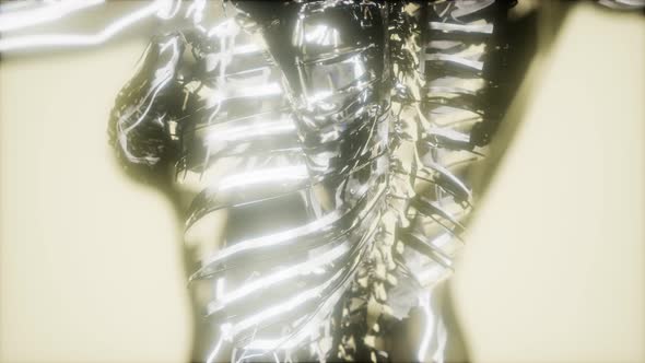 Inspection of Blood in the Blood Vessels of the Circulatory System alt