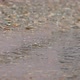 Drops of Water Fall Into a Puddle - VideoHive Item for Sale