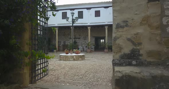 Cinematic entrance with a drone into a typical spanish villa.