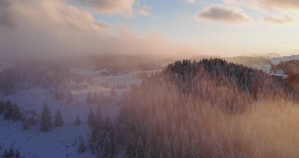 Drone Aerial Trees Clouds Fog Snow Wind Sunset - Fundata, Romania