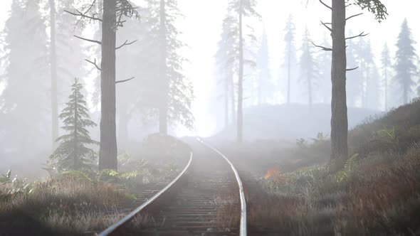 Empty Railway Goes Through Foggy Forest in Morning