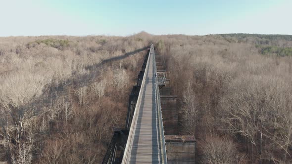 Flying just overhead along the wooden High Bridge Trail, a reconstructed Civil War railroad bridge i