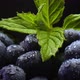 Close up detailed shot of fresh dewy blueberries with leaves of vibrant green mint.  - VideoHive Item for Sale