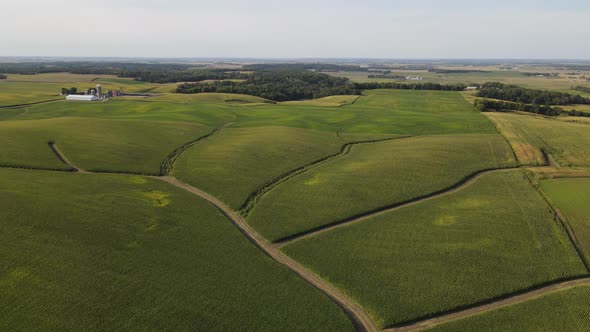 aerial view of a farm in south mn, corn fields during summer time, midwest