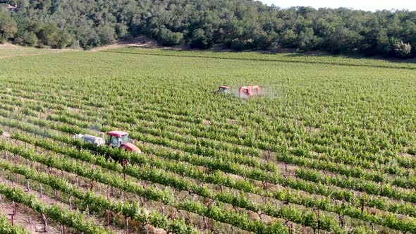 Farm tractor spraying pesticides and insecticides herbicides over green vineyard field.