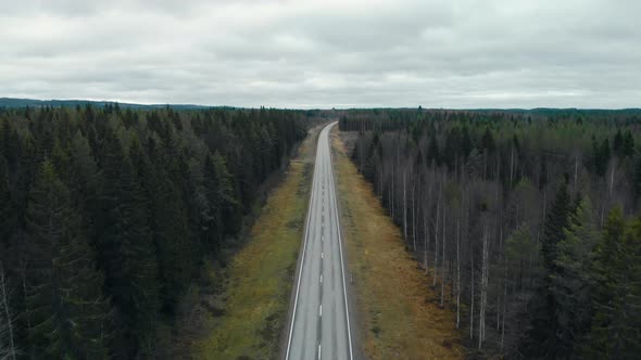 Aerial, drone shot, flying along a road, between pine trees and leafless birch forest, on a cloudy,