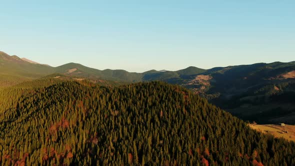 Breathtaking View of Hilly Terrain Covered with Coniferous Trees Against Cloudless Sunrise Sky in