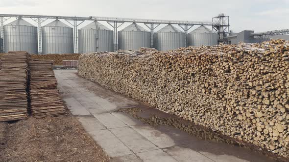 Timber Logs at the Port Export Storage ready for Furniture Industry