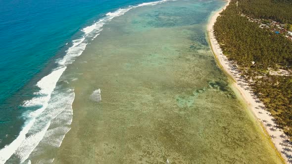 Tropical Beach with and Turquoise Sea