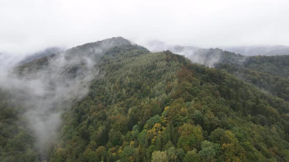 Mountains in Fog Slow Motion. Aerial View of the Carpathian Mountains in Autumn. Ukraine