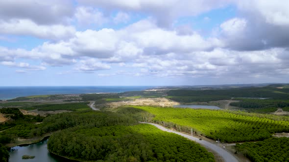 Drone flight over the north Istanbul forest. Cloudy sky, blue sea and green nature