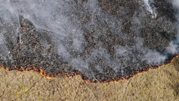 Climate Emergency. Spectacular High Aerial Fly Over View of a Grass Fire