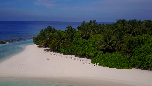 Aerial drone panorama of tropical resort beach wildlife by clear ocean and sand background