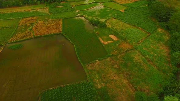 View of beautiful patch field