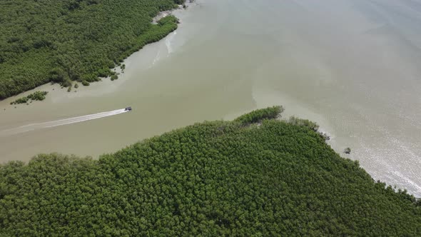 Fishing boat move to sea from mangrove forest