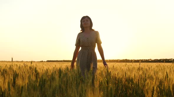 A Young Carefree Woman in a Dress Walks in Slow Motion Through a Field, Touching the Wheat Ears with