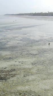 Tanzania  Vertical Video of a Coastal Landscape in Zanzibar Slow Motion