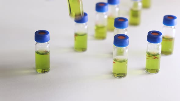 Scientist Prepares Plant Extracts for HPLC or LC MS Analysis