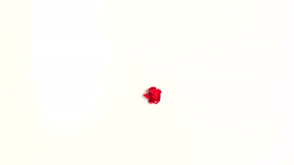 Red Paper Heart Beat on white background Crumple and Uncrumple Stop Motion Animation