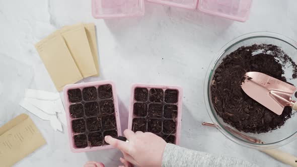 Flat lay. Planting seeds in seed propagator with soil.