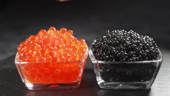 the Waiter Puts Black and Red Caviar in the Cups. The Concept of Luxury and Gourmet Food