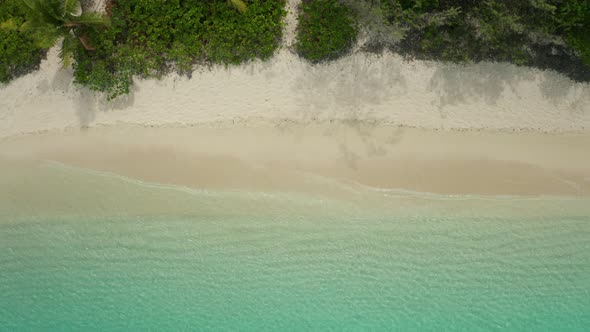 Beautiful Beach Scenery Of Bright Blue Sea Splashing On The White Sand With Lush Trees By The Shore