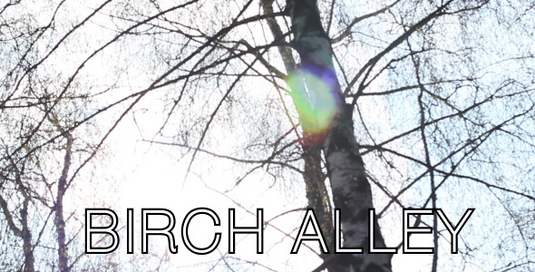 Birch Alley 3 alt