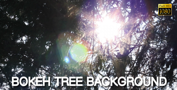 Bokeh Tree Background 10